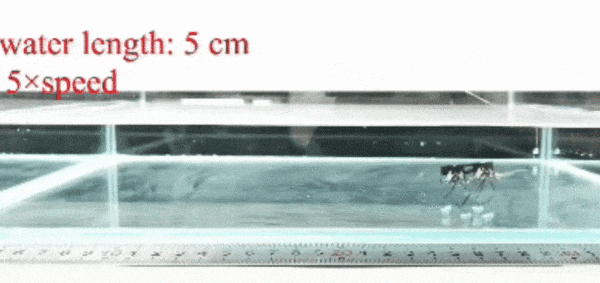 640 (1).gif